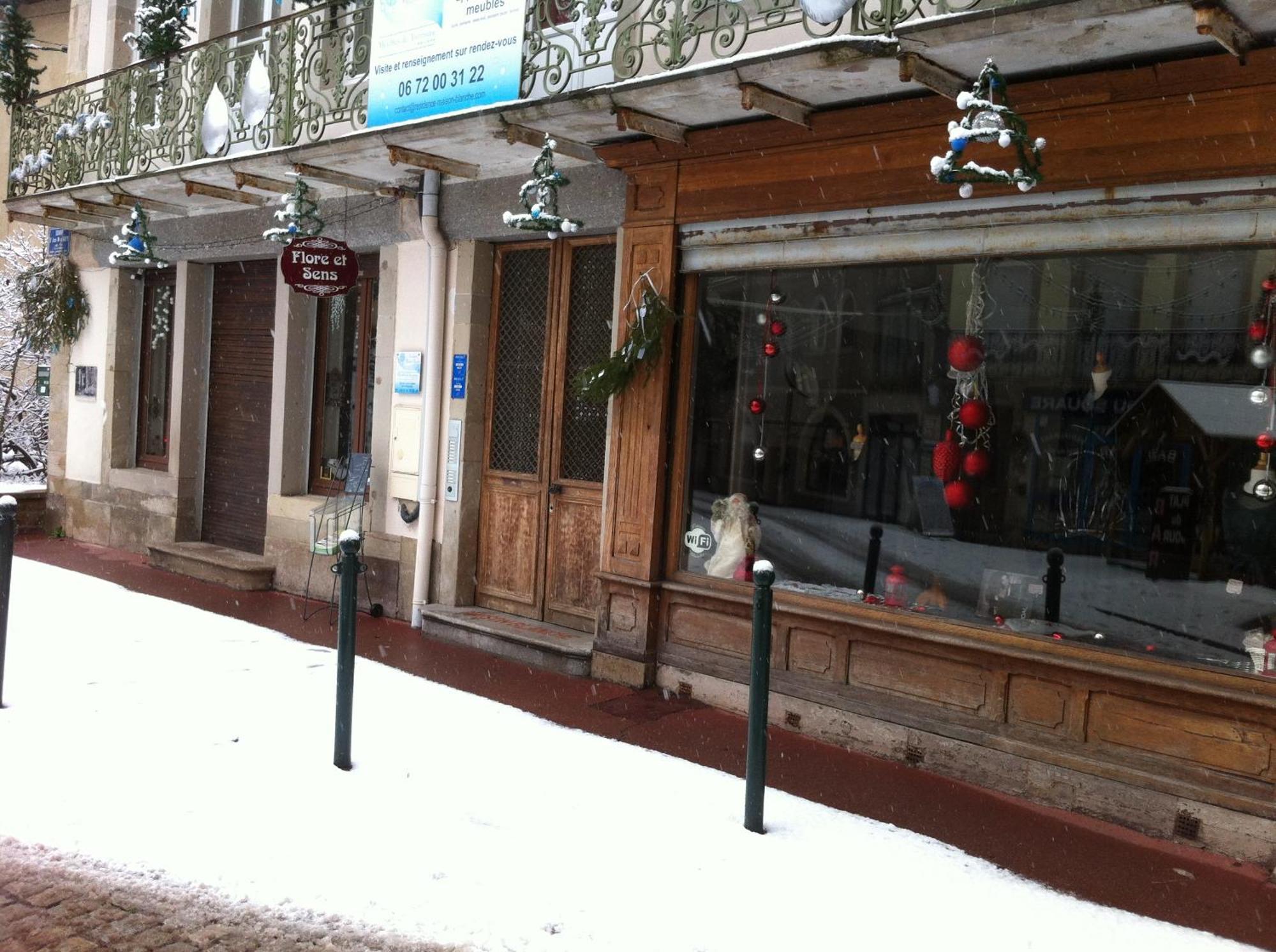 Residence Maison Blanche Plombières-les-Bains Dış mekan fotoğraf