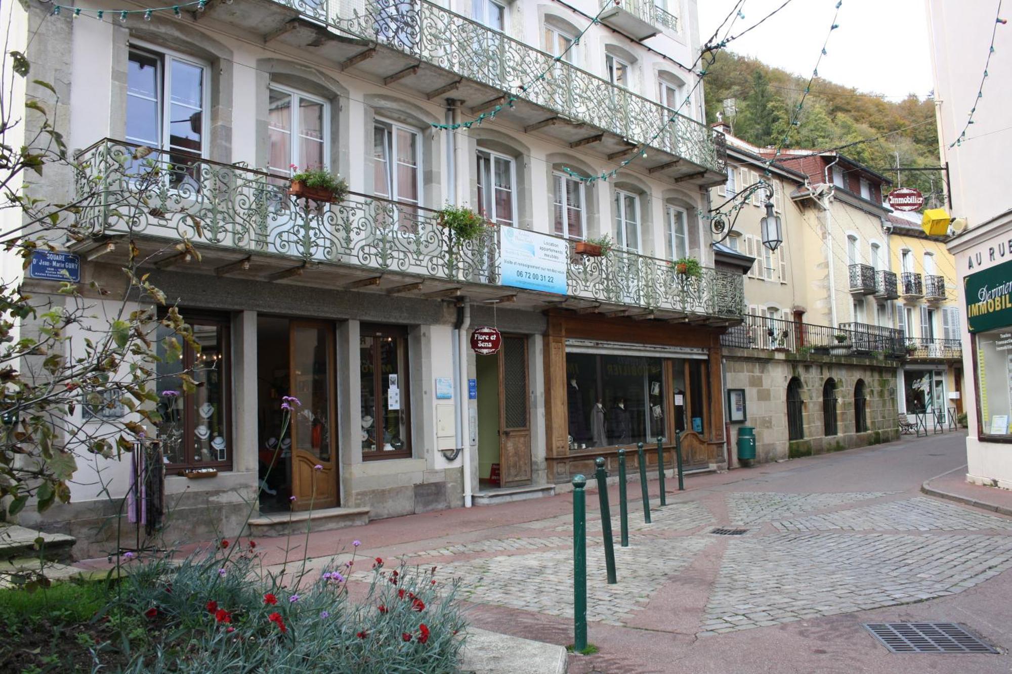 Residence Maison Blanche Plombières-les-Bains Dış mekan fotoğraf